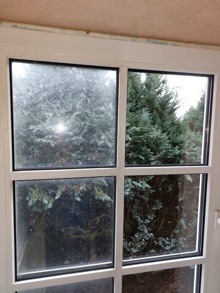 HN Glas und Gebäudereinigung Lindenstr 210. Mönchengladbach